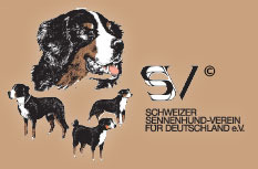 SSV e.V.