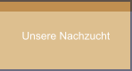 Unsere Nachzucht