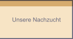 Unsere Nachzucht