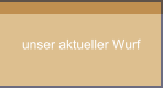 unser aktueller Wurf
