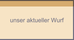 unser aktueller Wurf